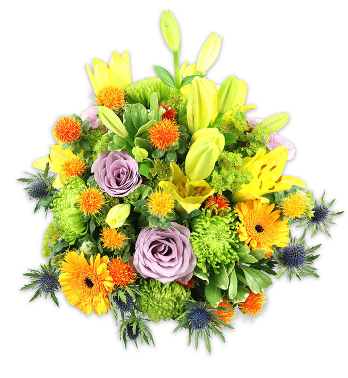 This densely composed floral arrangement sits against a pristine white background, every petal and leaf rendered in crisp detail as if caught in soft morning light. The dominant notes are warm: radiant yellow Asiatic lilies take centre stage, some fully unfurled with speckled throats and prominent stamens, others held as elegant, upright buds that promise more bloom. Two pale lavender-purple roses form a gentle focal pause, their delicate petals unfurling in perfect spirals that offer a cool, romantic respite amid the energetic oranges and yellows. Large orange Gerbera daisies fan their flat petals outward, their dark centres giving the bouquet a playful, graphic rhythm. Filling and texturing the mass are bright chartreuse button chrysanthemums - small, cushiony florets that create a soft, ruffled carpet - while clusters of tiny spherical orange and golden blooms provide concentrated, spiky accents like confetti. Blue-grey sea thistles (likely Eryngium) rise from the lower and side edges, their starry bracts and stiff stems introducing an architectural, slightly maritime edge that contrasts the softer forms. A mixture of broad and fine foliage anchors the composition, offering glossy greens that enhance depth and a sense of natural abundance. The overall impression is one of joyful sophistication: a bouquet that feels handcrafted, fragrant, and generous, appropriate for celebrations, thoughtful condolences, or brightening a home mantel after a walk down Tring High Street. The arrangement demonstrates careful floral craftsmanship and an eye for contrast between scent, colour, and form.