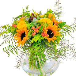 From the first glance, this bouquet radiates sheer exuberance-each element reflecting the sun-kissed richness of Tring's landscape. Vivid sunflowers and buttery yellow garden roses bloom side by side, their layered petals unfurling to create a tapestry of warmth and optimism. Glossy red hypericum berries glimmer between the blooms, providing striking contrast and echoing the spirited red accents found on walks through the rolling Chilterns. Delicate, cascading greens-feathery ferns, light filler sprigs, and slender spikes-evoke the wild abundance of the countryside around Tring, their gentle movement reminiscent of a breeze across Marsworth. Silver-green eucalyptus leaves add a subtle, sophisticated note, complementing the summery golds and lively reds. Cradled in a clear, fishbowl-style glass vase, the arrangement's stems form an architectural pattern through the water, highlighting the careful craftsmanship and freshness of every bloom. Up close, you'll notice textures from velvety sunflower faces to tightly rolled rose petals and the crisp cool of cut foliage. The fragrance is subtle but enlivening, stirring up memories of days spent in Tring's rambling gardens and open fields. Ideal for life's happiest moments-birthdays, anniversaries, or simply infusing your home with joy-this bouquet, expertly arranged by a local Tring florist, perfectly captures the area's celebratory spirit and natural beauty.